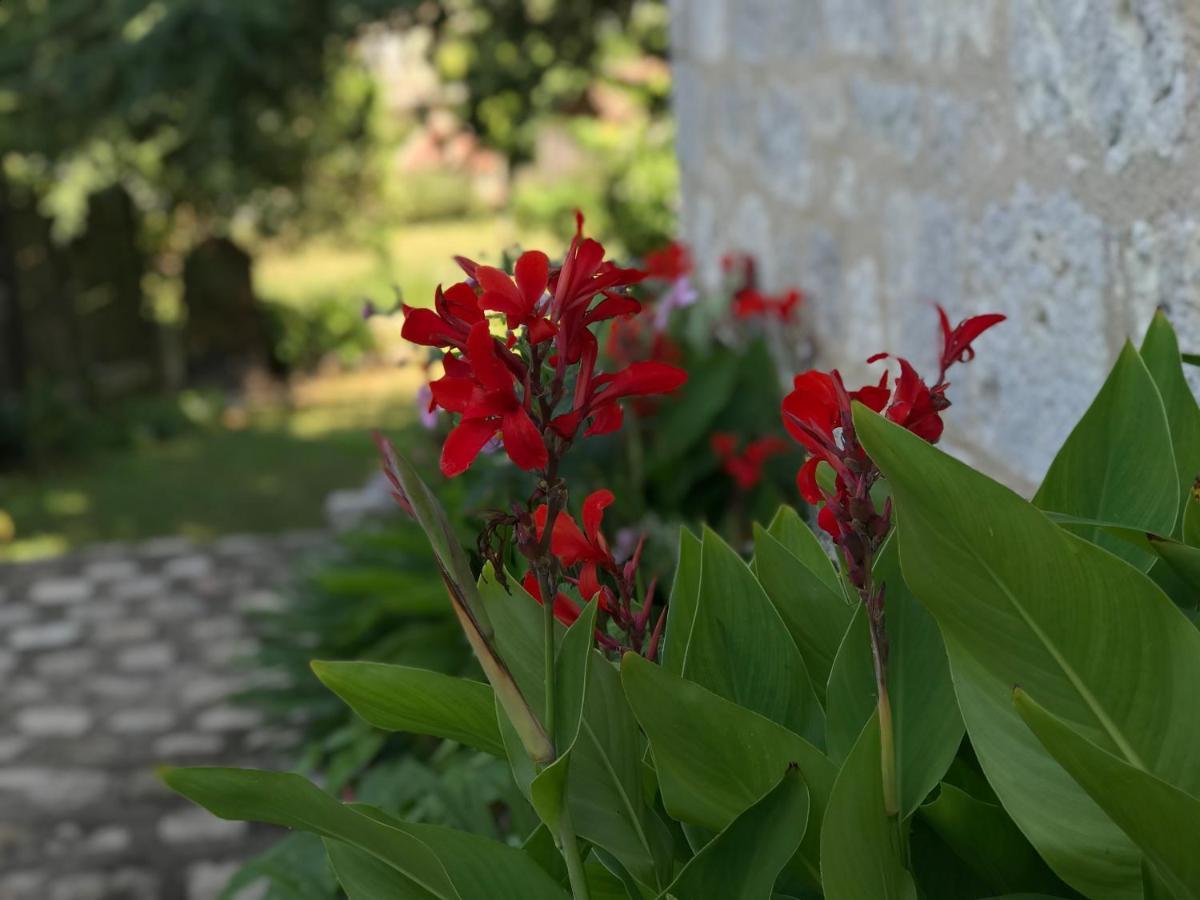 Chateau De Bouniagues Διαμέρισμα Εξωτερικό φωτογραφία